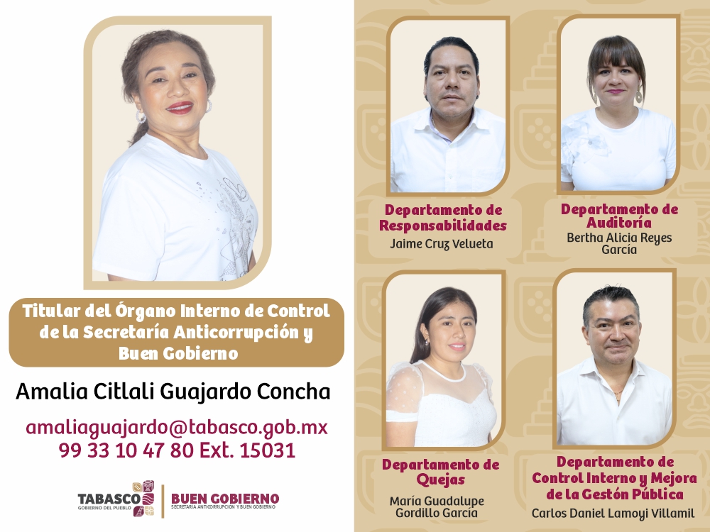 Órganos Internos de Control